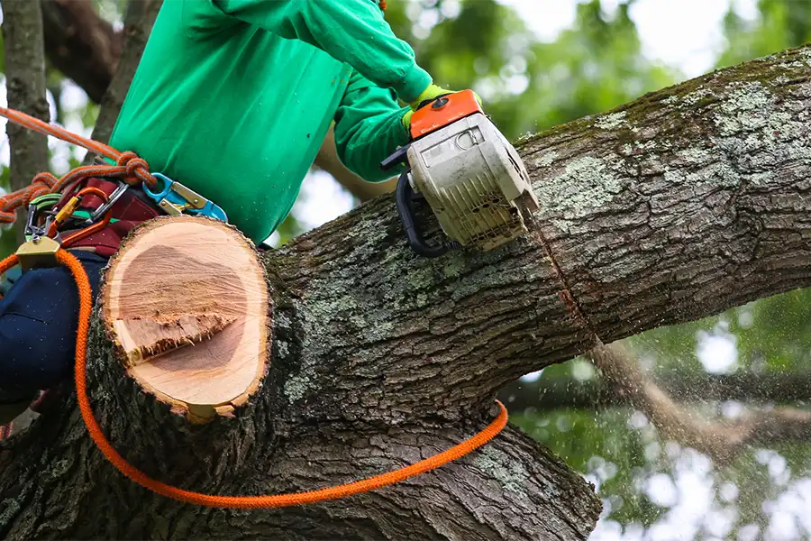 Dependable Tree Service