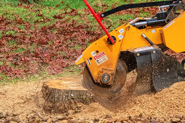 Tree Services California's other services